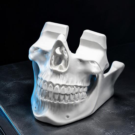 Game Controller Stand 3D Printed Skull Holder, Head for Display Rack Controller, Cool Desktop Gaming Room Decor, Gamer Gift Ornament Men