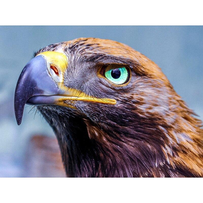 New 5D DIY Diamond Painting Eagle Head Diamond Embroidery Animal Cross Stitch Full Round Drill Home Decor Manual Art Gift