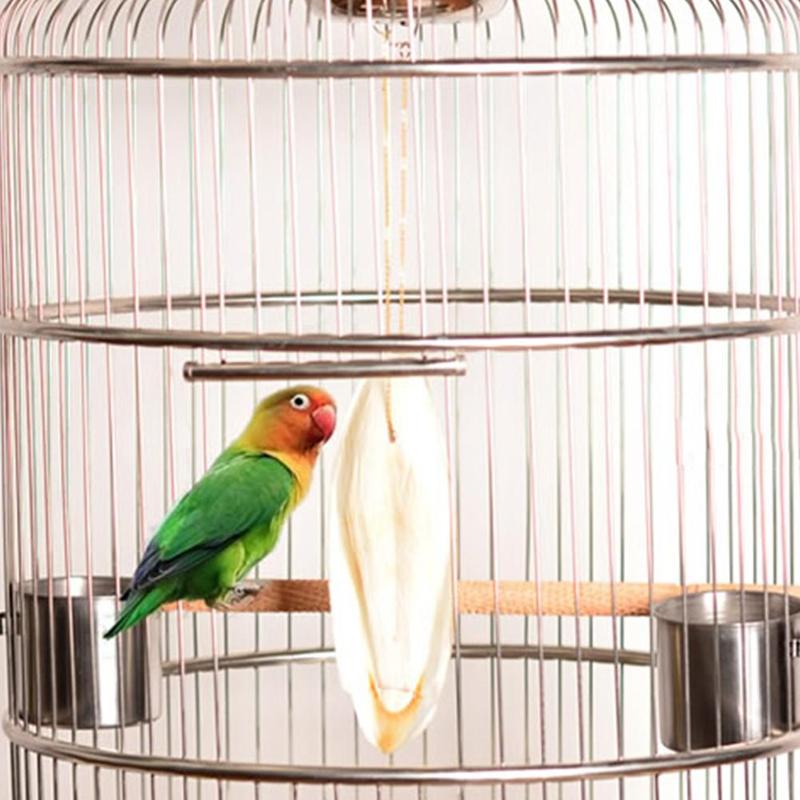 cuttlefish bone for dogs