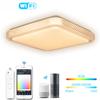 Doodle Smart Home LED Ceiling Light Modern Simple Bedroom Light Xiaodu Tmall Genie Google Audio Control