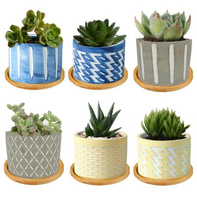 Iikuru Flower Pot Stylish Succulent Planter Set Cement Pot Houseplant