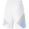 Li Ning Wade Series Loose Mid Waist Straight Casual Shorts Men Shorts White Blue AAPT019-2
