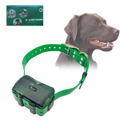 4G Hunting Dog Tracker Collar Feild GPS Real Time Tracking IP67 Waterproof Pet Locator LK122M With Remote Voice Training Free App
