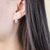 Round Swan Neck Drop Earrings Europe Style Fine Jewerly For Women Classic Gift In Solid 925 Silver