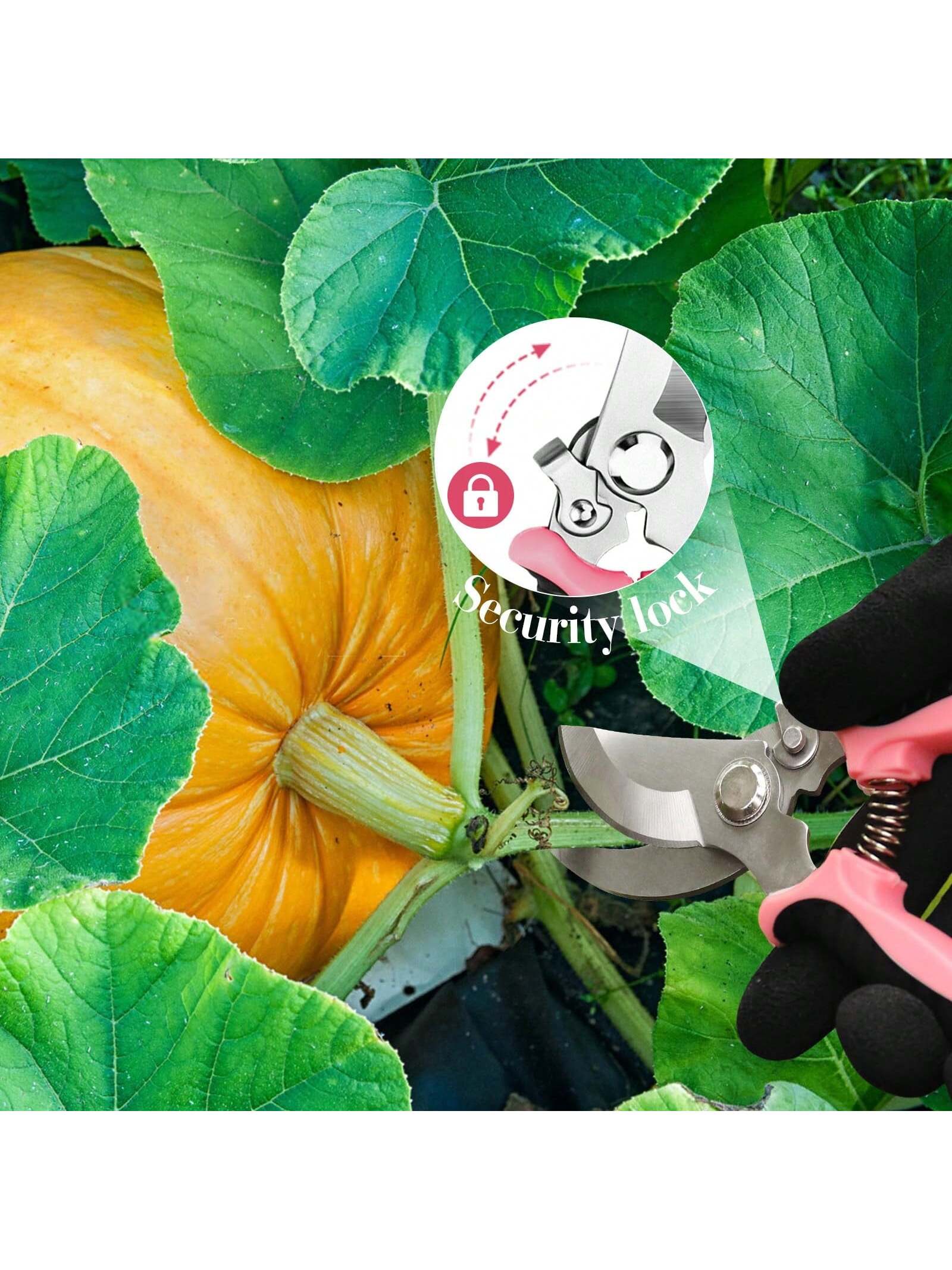 

Садівничі ножиці Форма дзьоба для птахів Обрізка гілок Економія праці Обрізка Збір з нержавіючої сталі Багатофункціональні ножиці для фруктів L