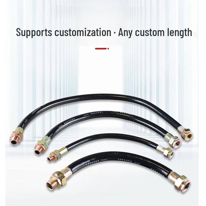 BJCLWQC High-Pressure Flexible Connection Hose