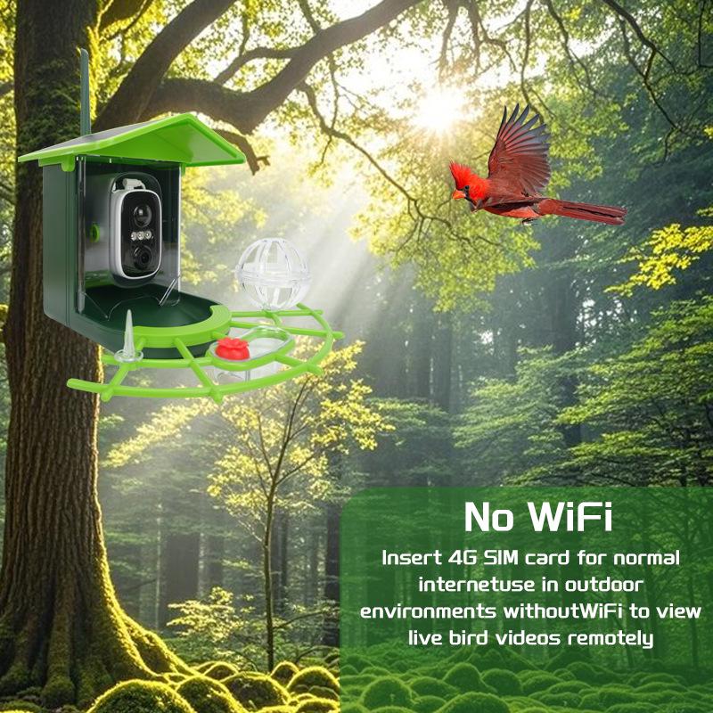 Solar-Powered Smart Bird Feeder with AI Recognition and Low Energy Use