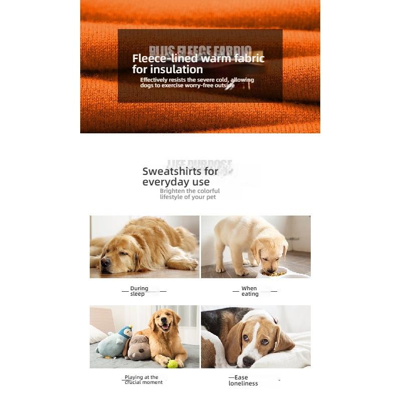 Autumn Winter New Dog Sweatshirt Turtleneck Fleece Lined Warm Cotton Coat Soft Home Wear Pet Clothes For Small Medium Dogs