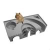 Hamster Exercise Toy Gerbil Hideout Educational Cage Accessories Small Animal