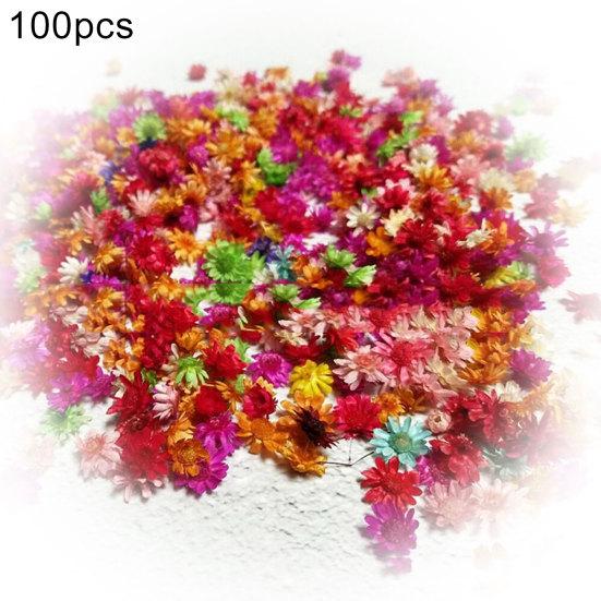 100Pcs Dried Flower Head Chrysanthemum DIY Handmade Craft Nail Art Filling Decor разноцветный