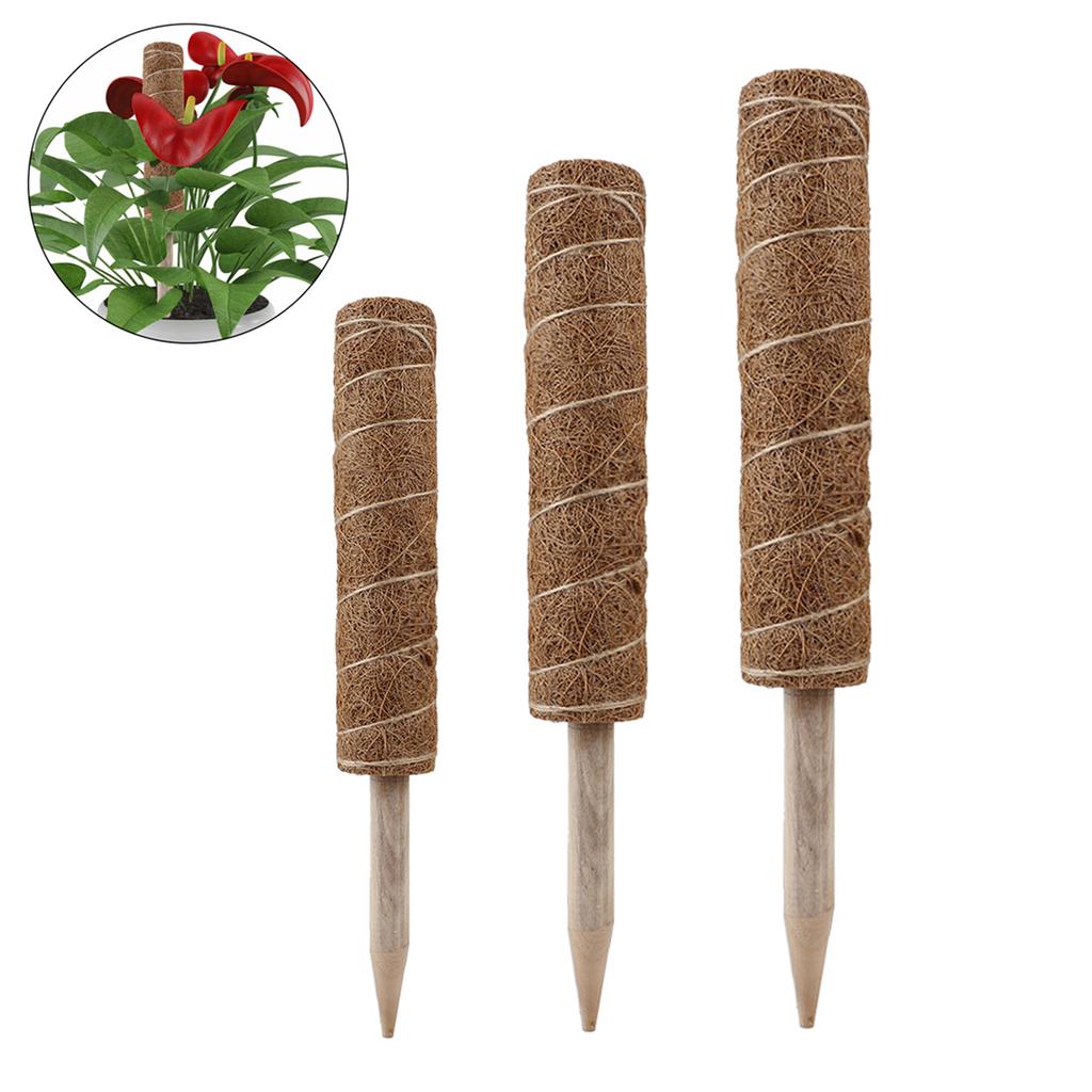 3PCS Plant Climbing Vine Coconut Palm Stick