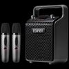Edifier PP205S Portable Bluetooth KTV Speaker CN Plug (adapter Included)
