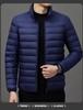 2024 Men's Lightweight Fashion Down Jacket - Short Stand Collar, White Duck Down, Warm Winter Coat