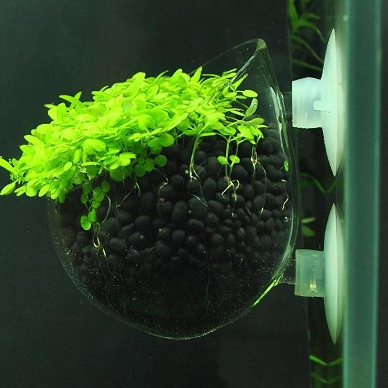 Aquarium Decoration Plant Cup Pot Live Plants Fish Tank Holder Glass Aquatic Plant Pot with Suction Cups Aquarium Decor Tool
