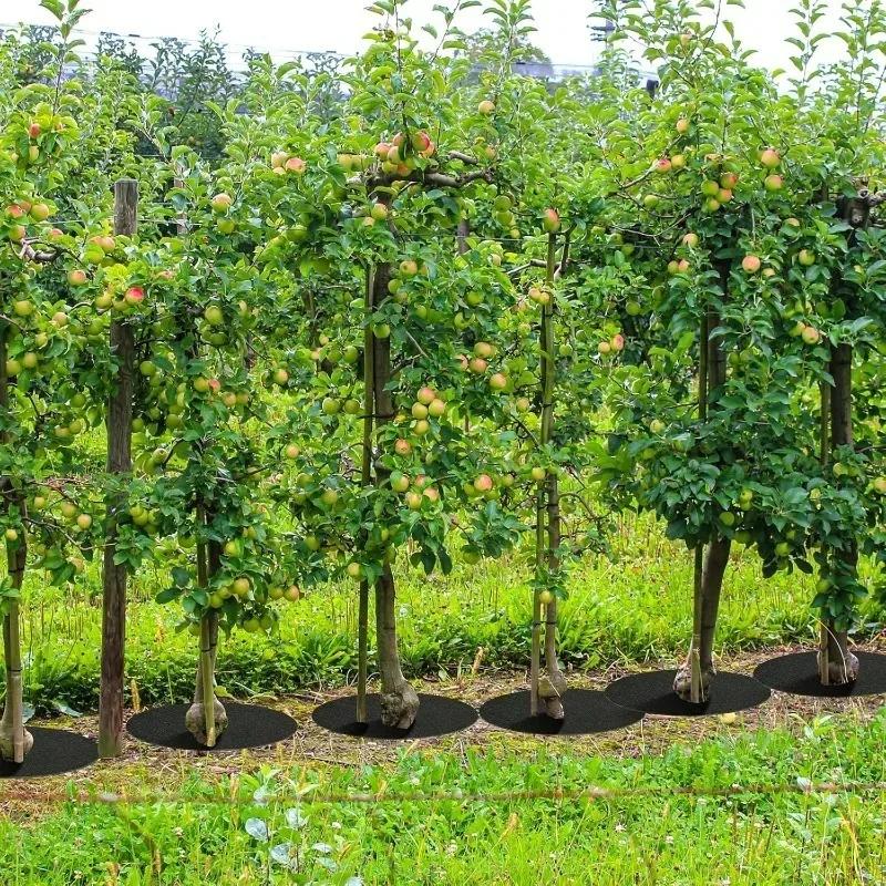 Tree Protection Weeds Mats Gardening Mulch Ring Reusable Non-Woven Fabric Plant Pot Soil Covers Degradable Weeds Barrier Mat