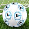DSC Arminia Bielefeld Size 5 Soccer Ball, Machine-Stitched PVC, Durable & High Bounce, All Ages Fit, Fan Merchandise, Matches & Outdoor Use.