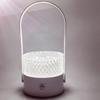 Retro Rechargeable LED Table Lamp, USB Portable Night Light, Novelty Atmosphere Lighting for Bedroom, Bar & Bedside