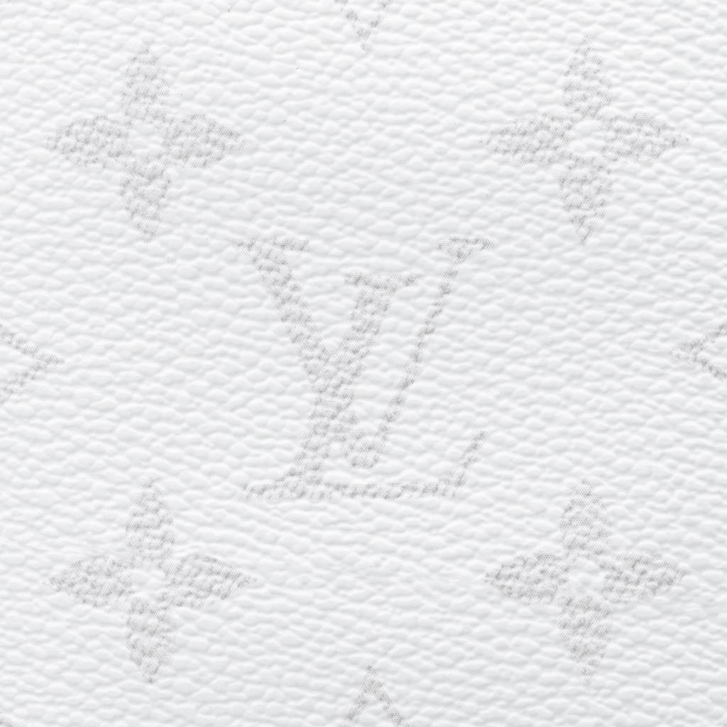 Louis Vuitton Brazza Monogram Canvas And Leather Long Wallet Men wallet White M30889
