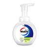 Walch Foaming Antibacterial Hand Wash
