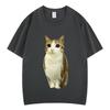 Cat Owl Funny Meowl Meme Brainrot Graphic Tshirts Unisex Unisex Fashion Short Sleeves Tshirt Cotton Oversized T Shirts Streetwear