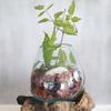 Large Molten Glass Bowl On Wood Stand