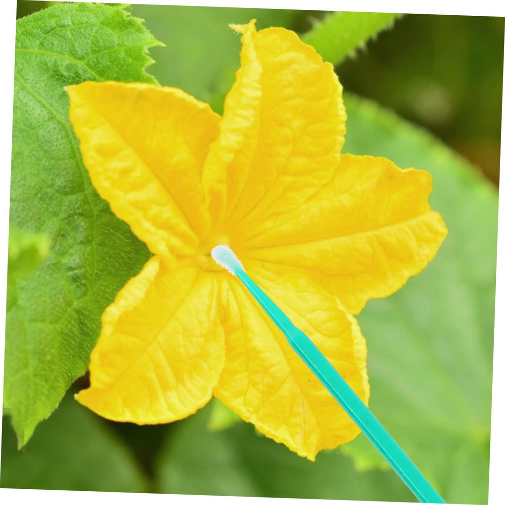 SUPVOX 100pcs Plant Pollinator Pens Artificial Pollinators Pollinator Chalk Paint Brushes Pollinator Dusters Pollinator Hand Tools Plant Plastic