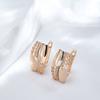 New Fashion Glossy Natural Zircon Earring For Women Unusual Creative Hollow Flowers  Rose Gold Color Vintage Jewelry