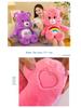 Creative Rainbow & Angry Bear Plush Toy - Cartoon Doll, Perfect Children's Birthday Gift