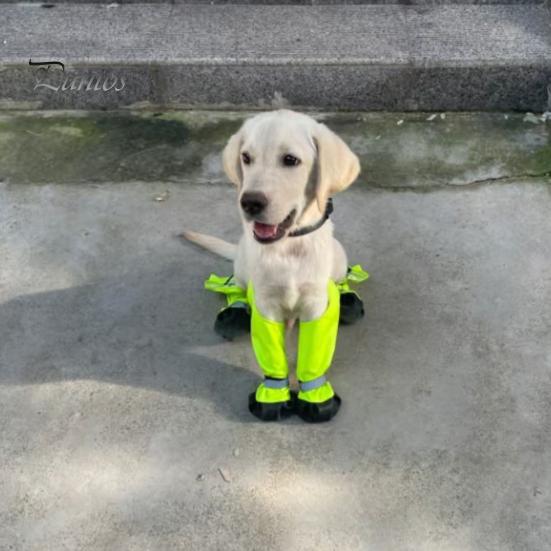 Dog Paw Socks Suspender Booties Anti-Slip Protector Waterproof Boot Leggings Protectors Adjustable Shoes for Winter Snow Rain Hiking Pet Foot