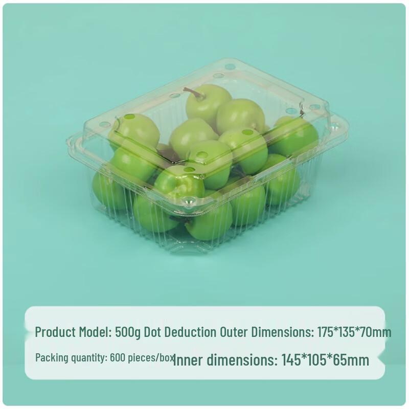 Disposable Plastic Food Storage & Takeaway Containers