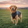 Noise-proof Pet Soothing Clothes Elastic Pet Anti-Scare Pullover  Noise Protection