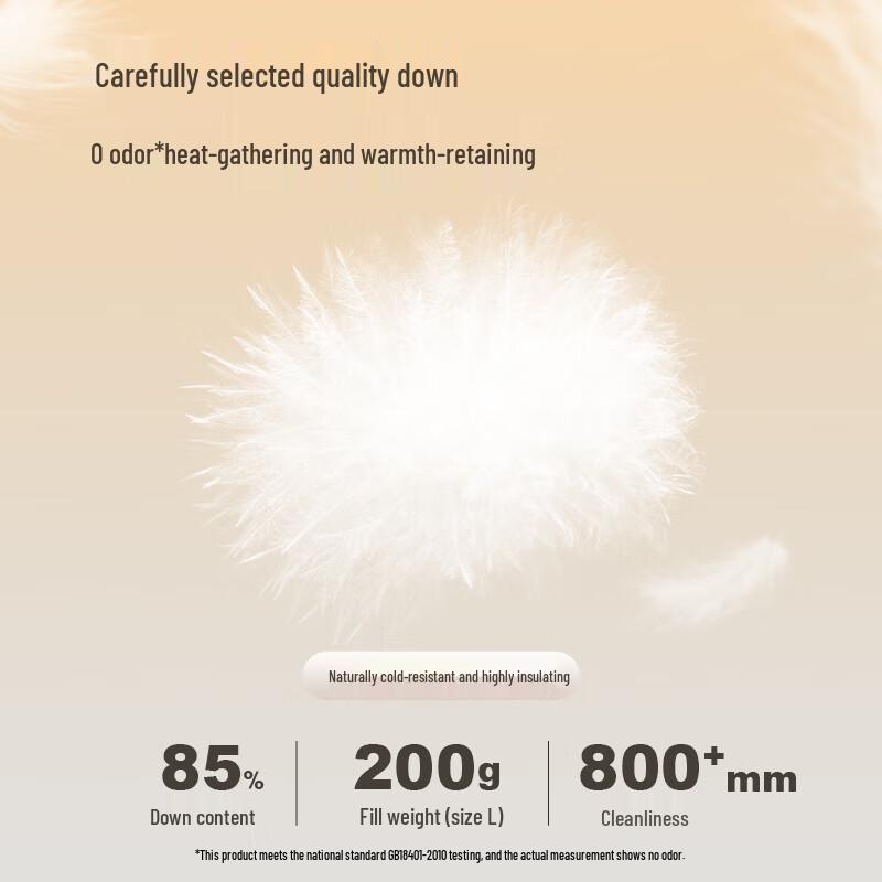 Camel Men's Hooded Waterproof Puffer Down Jacket