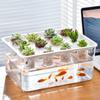 Visible Cultivation Tray Hydroponic Grower Box Container With Lid For Home Vegetables Water Based Gardening And Home Use