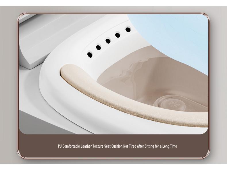 Electric Bidet Basin for Pregnant Women - No-Squat Special Wash, Soak, and Fumigation Toilet Accessory
