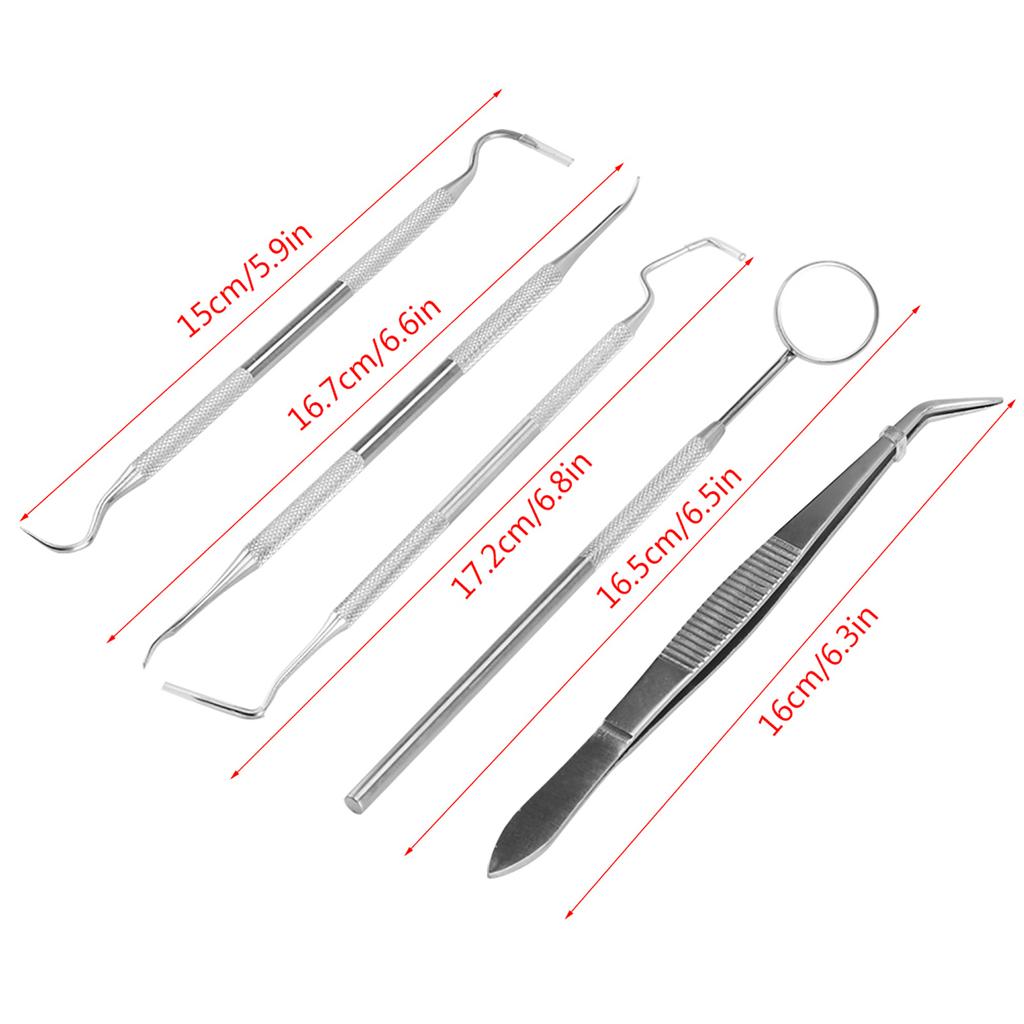 5Pcs Professional Stainless Steel Dentist Tools Set Dental Hygiene Cleaning  Kit