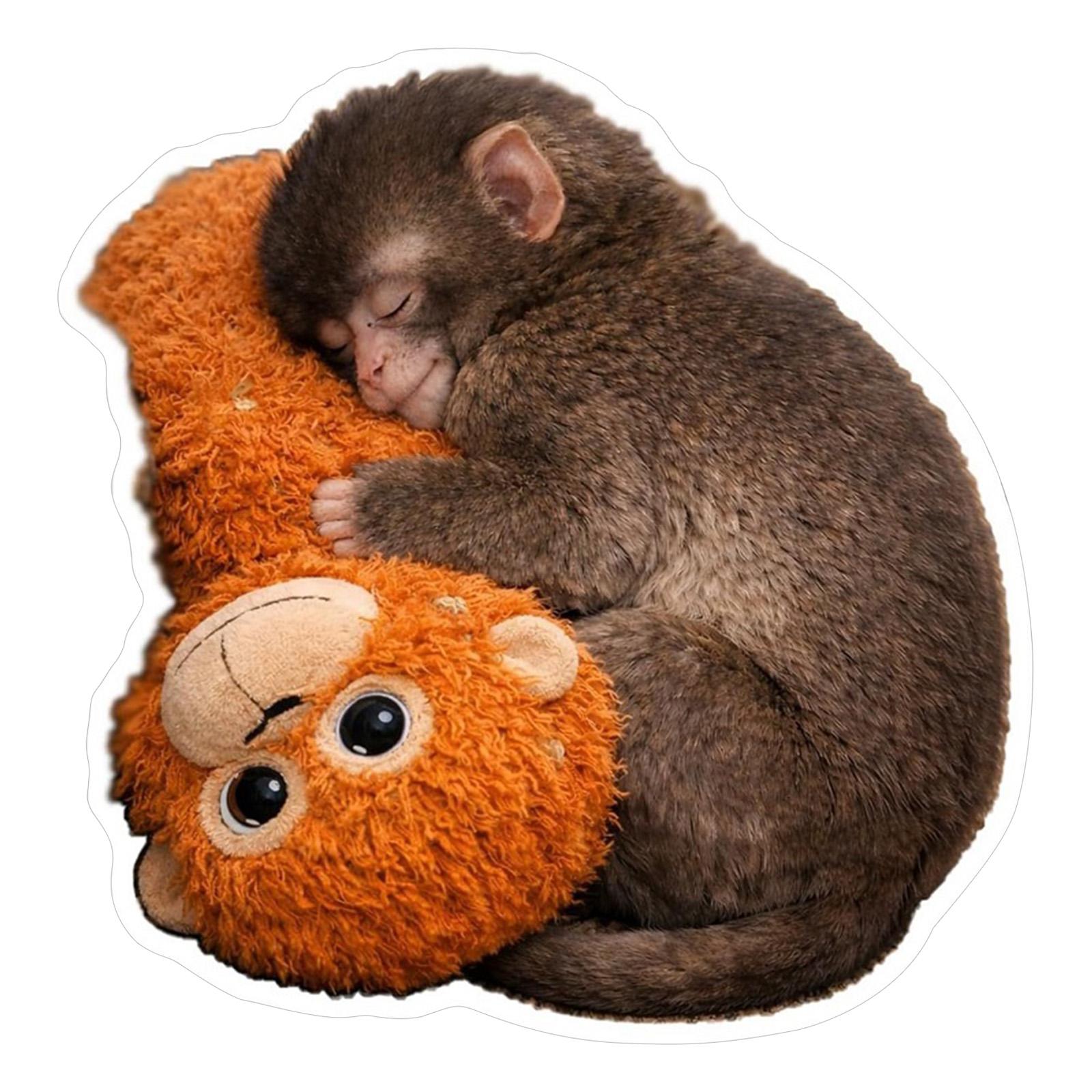 

10/20Pcs Protect Punch The Monkey Sticker Easy To Paste and Remove Waterproof Vinyl Decal Stickers for Laptop Room Decor Gifts
