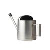 300ML Stainless Steel Watering Can with Long Spout for Plants and Succulents - Ideal for Kids and Mini Gardens