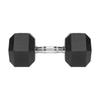 Cast Iron Rubber-Coated Dumbbell Hex 17.5Kg Rebel Hexagonal