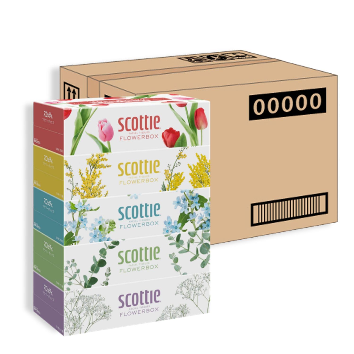 Scottie 500 sheets 20 Flower Box Long-Lasting Tissues, (250 pairs), boxes, (Compact Case)