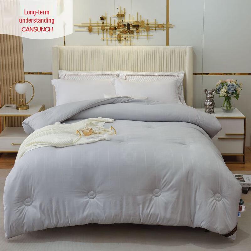 

Snow Velvet Thickened Winter Duvet Insert