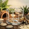 Fence Design Tortoise Food Dish Large Capacity Reptile Feeder Bowl  For Amphibians
