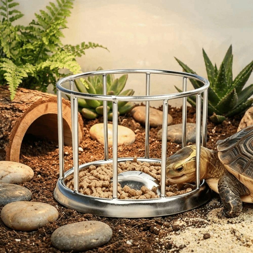 Fence Design Tortoise Food Dish Large Capacity Reptile Feeder Bowl  For Amphibians
