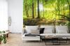 Photomural Beautiful Forest Landscape In Spring In 3D Effect Structural Vinyl 416x254