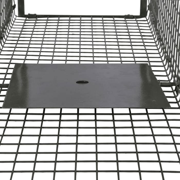 VidaXL Attrape à animaux avec 2 portes