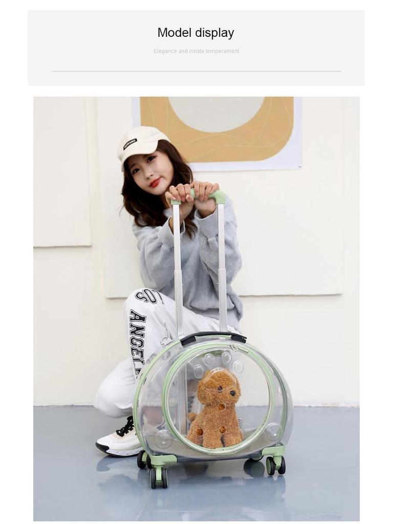 Von Fluggesellschaften zugelassener transparenter Haustier-Rucksack-Trolley für Katzen und Hunde