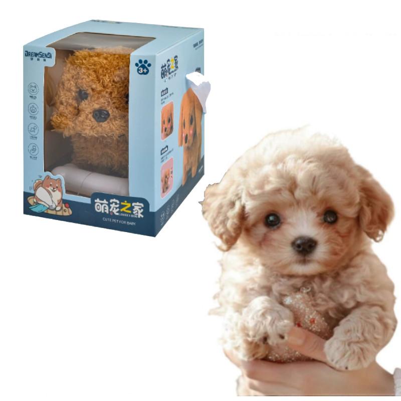 Poodle Saint Bernard Golden Retriever Kid Interaction Pet Toys Can Walk And Bark For Kids And Pets Play