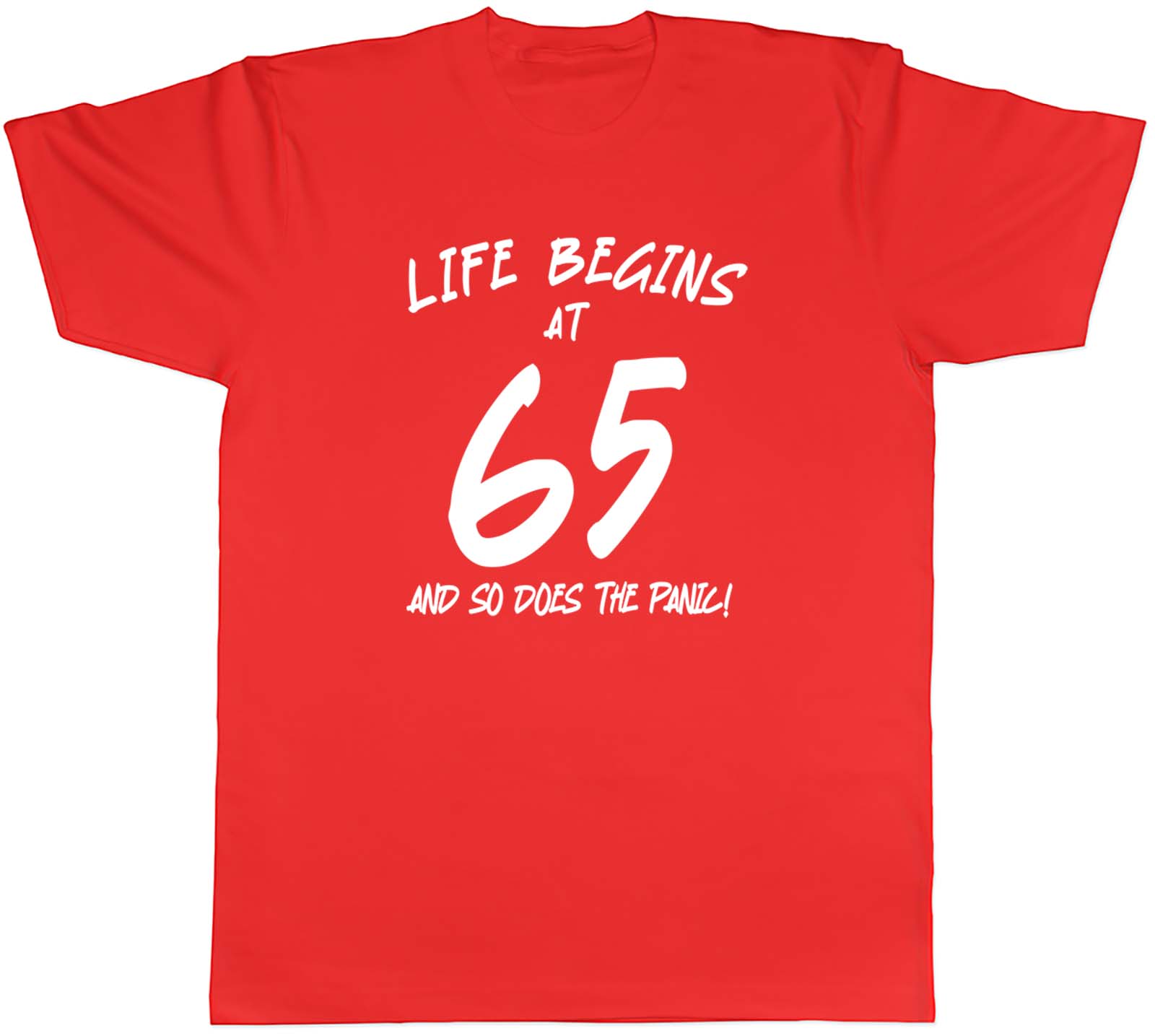 65th Birthday Unisexs TShirt Life Begins at 65 So Does the Panic Tee Gift S