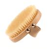Natural Beech Bristle Brush Bath Brush Meridian Dredging Body Beech Wood Dry Brush Exfoliatin Massage Control Blood Circulation