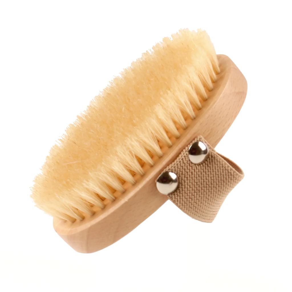 Natural Beech Bristle Brush Bath Brush Meridian Dredging Body Beech Wood Dry Brush Exfoliatin Massage Control Blood Circulation