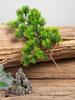 Artificial Pine Bonsai with Juniper Branches and Dried Flowers